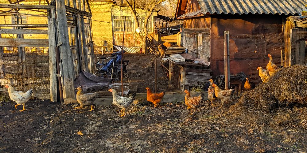 Photograph by Светлана Кондрашова