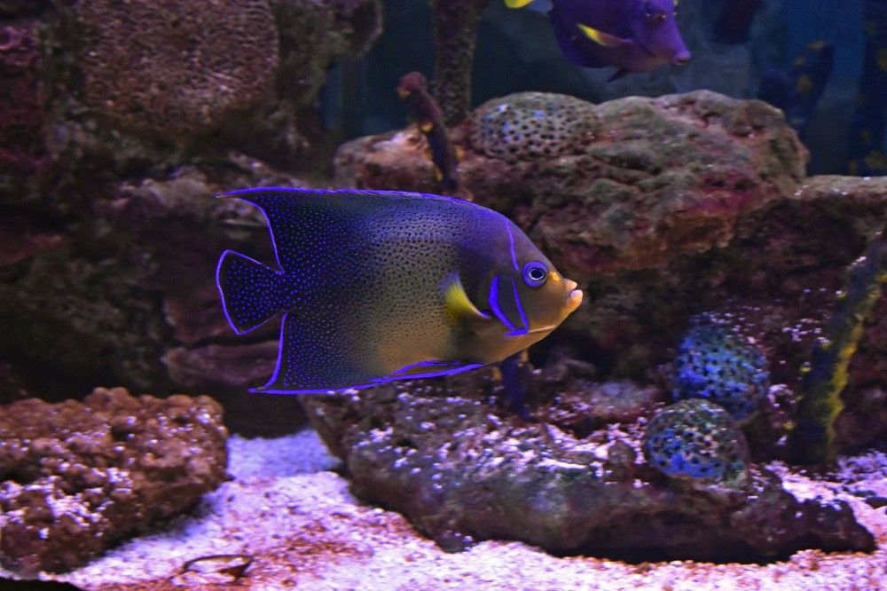 Photograph by Наталья Аржинт