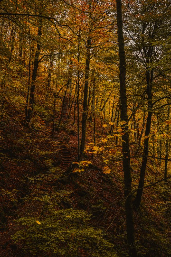 Photograph by Арина Стрябчева