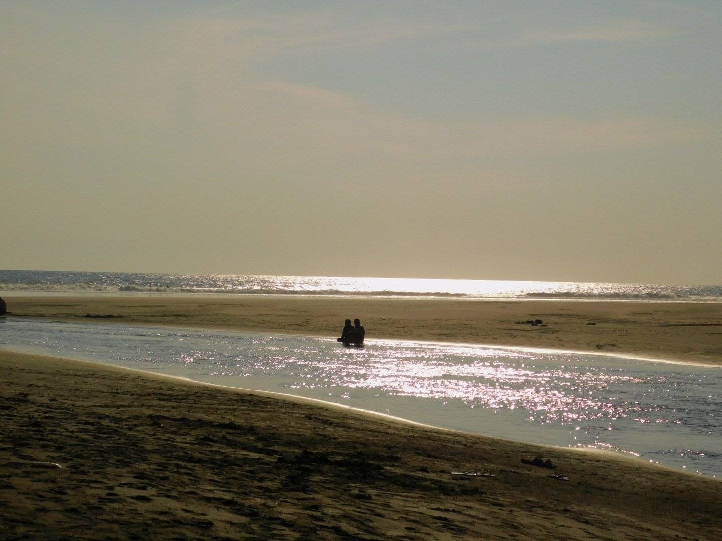 Photo #5666263