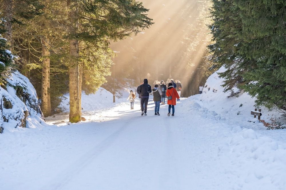 Photograph by Diana Timonina