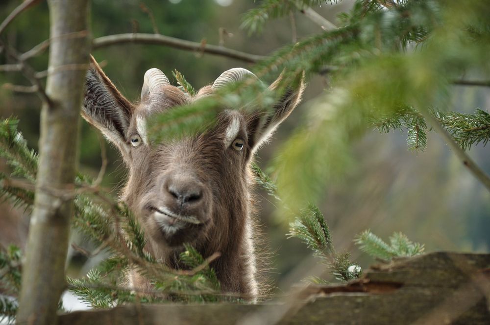 Photograph by Ольга Кудина