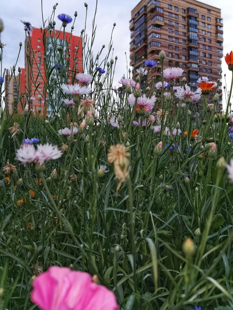 Photograph by Нина Дорожинская