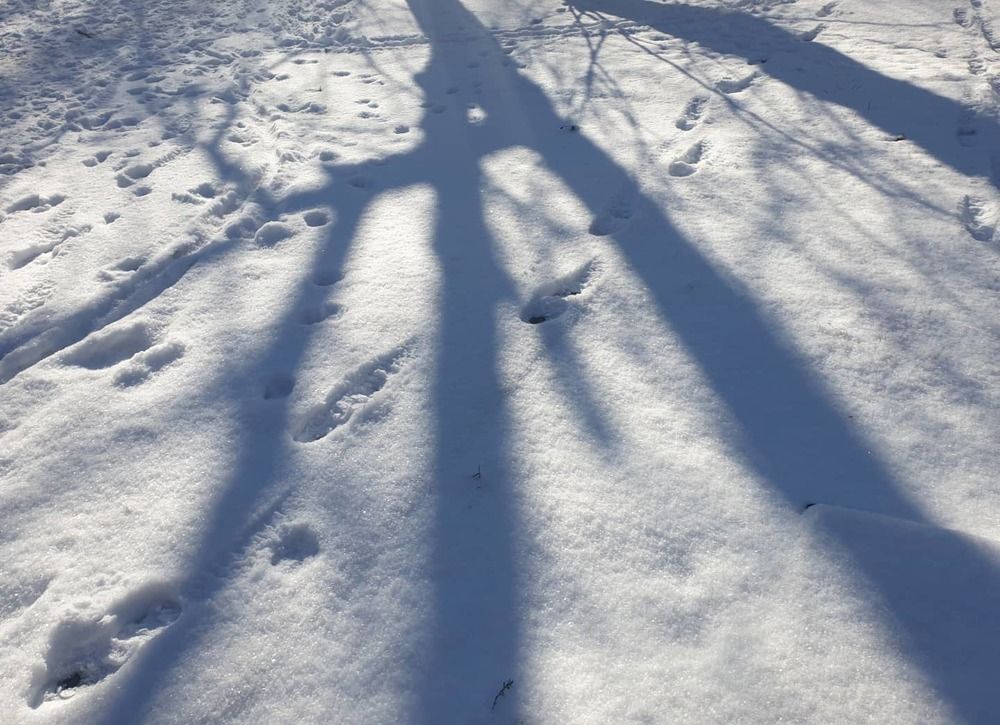 Photograph by Ассоль