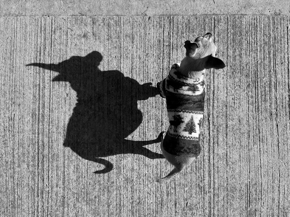 Photograph by Victoria Castellanos