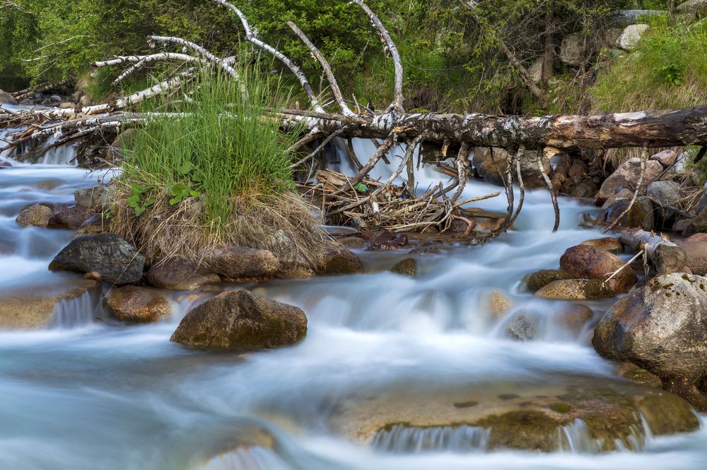 Photograph by Аскар Баймухамедов