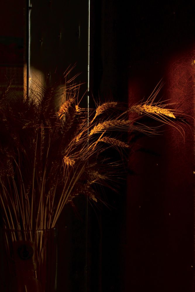 Прощальный луч