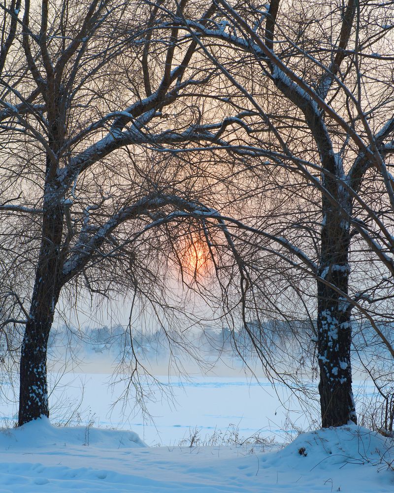 Photograph by Александр Шведов