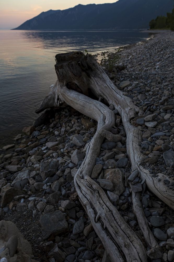 Photograph by Sergei Dudakov