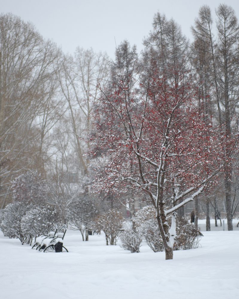 Photograph by Александр Шведов