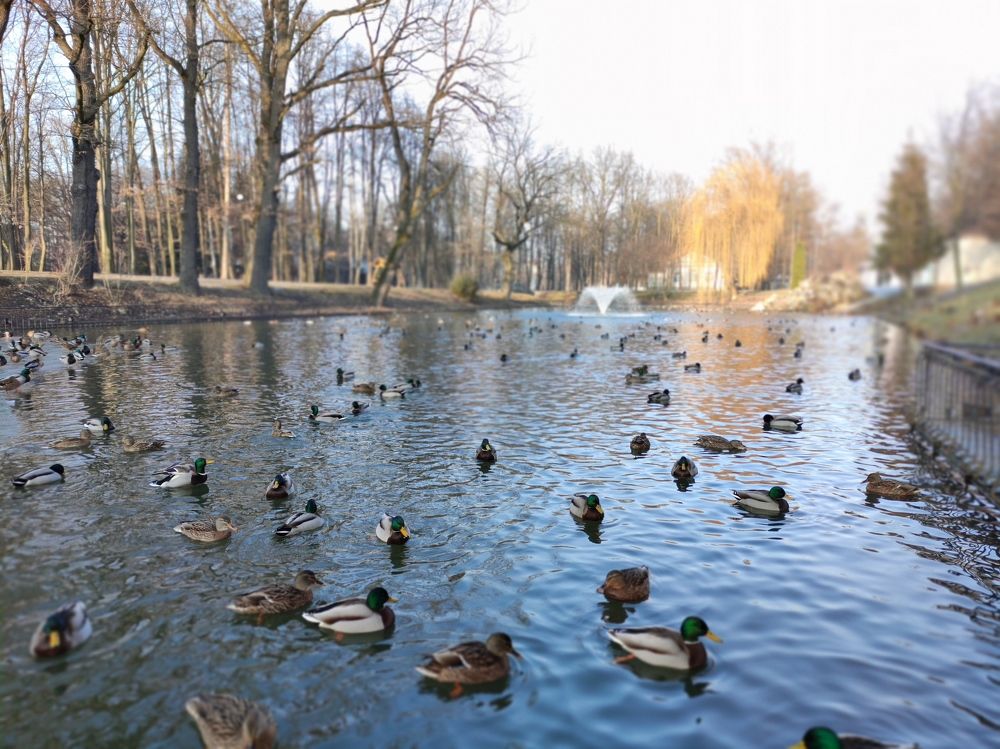 Photo #5666452