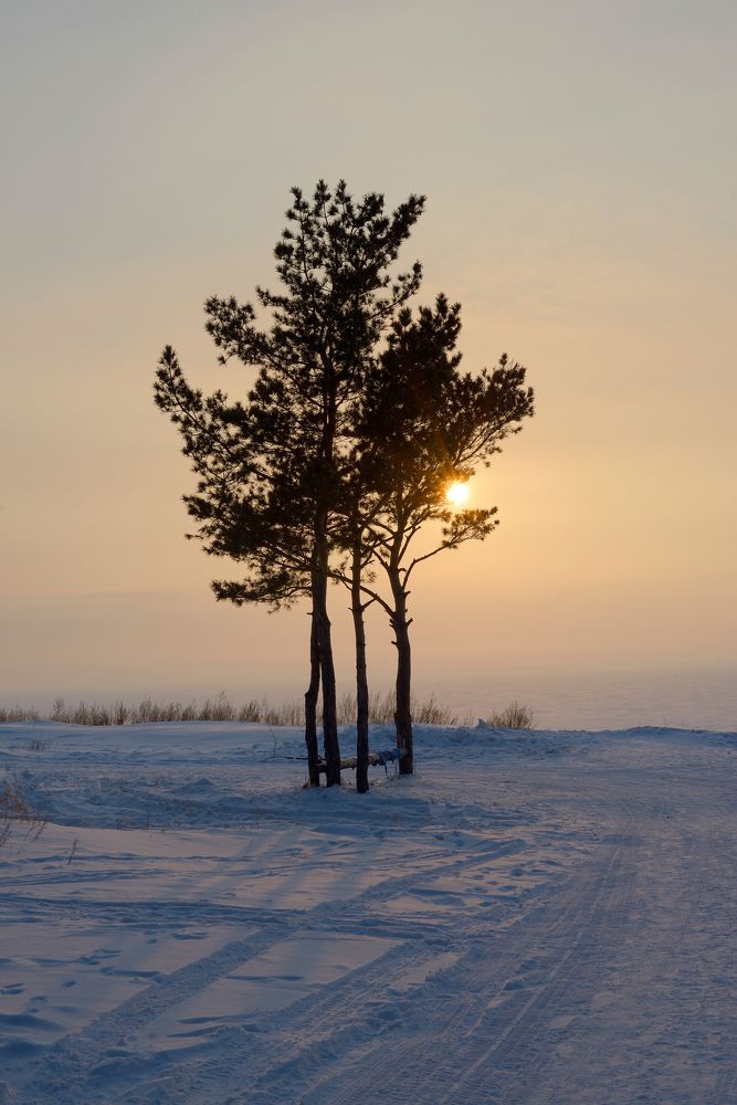 Photograph by Александр Шведов