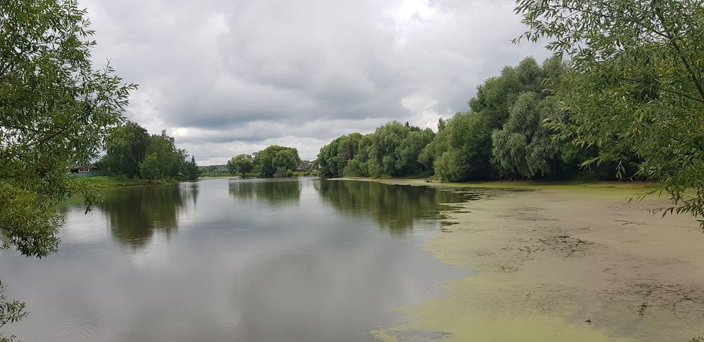 Деревенский пруд.