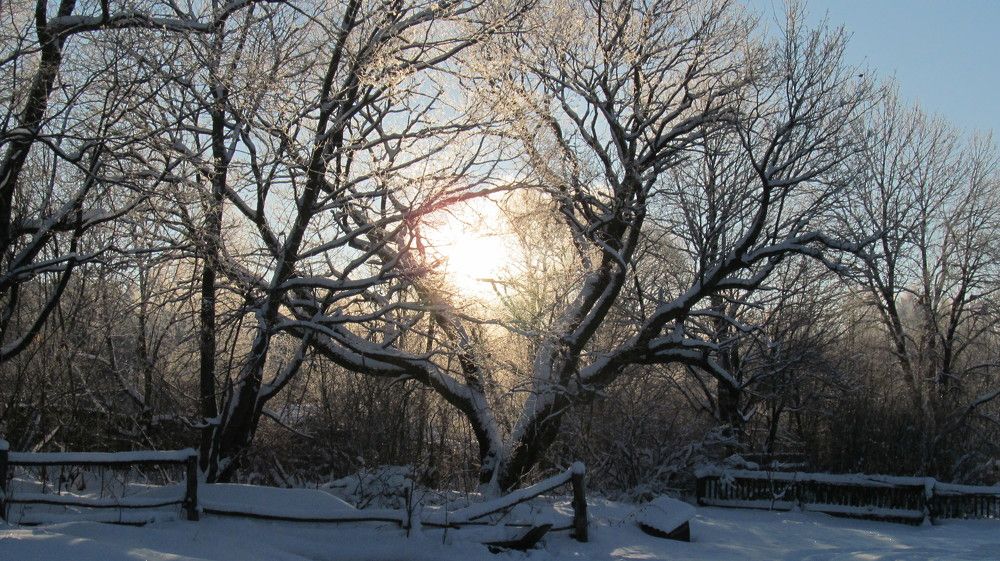 Photograph by сергей павлов