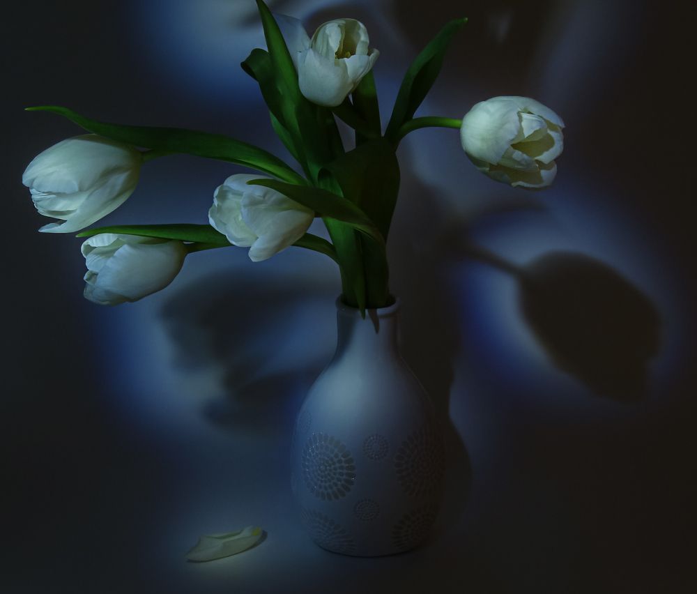 Photograph by Светлана Лехмус