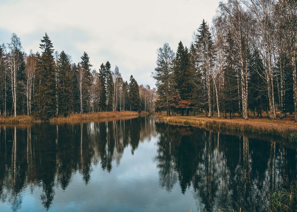 Photograph by Карина Бархударян