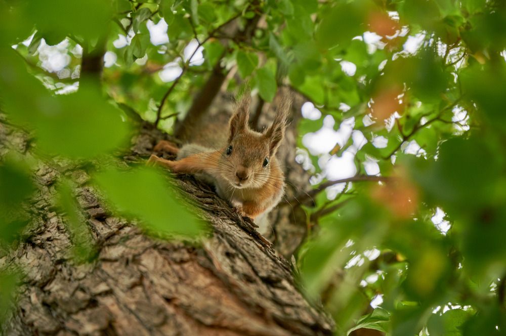 Photograph by Екатерина Володина