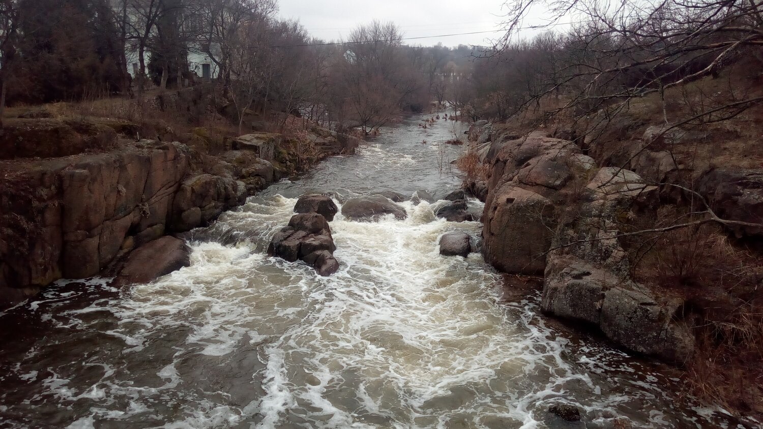 Photo #5666573