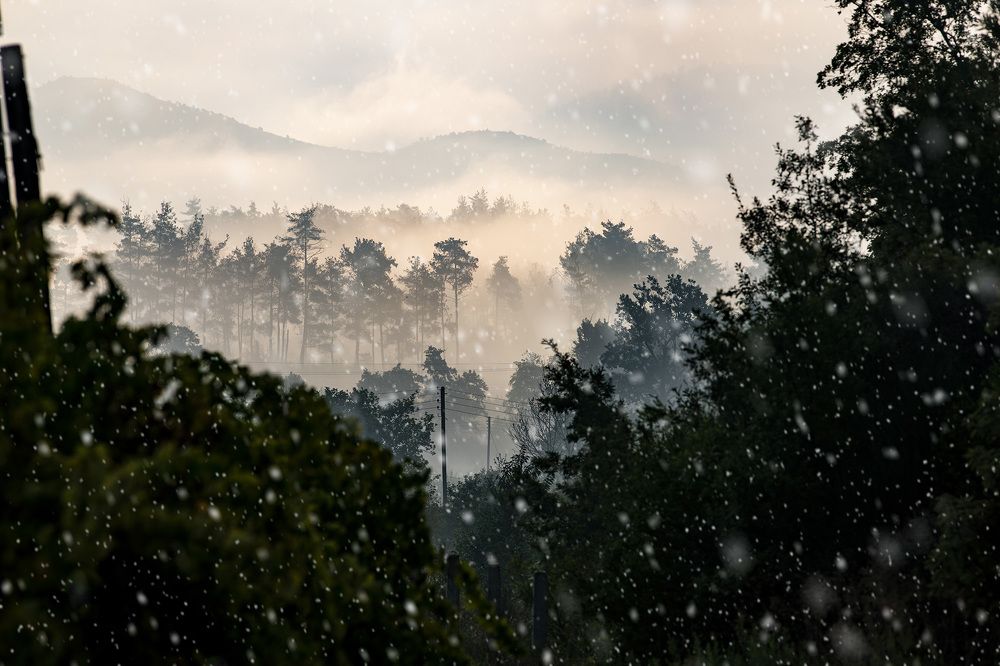 Фотография автора Ibrahim Jalal