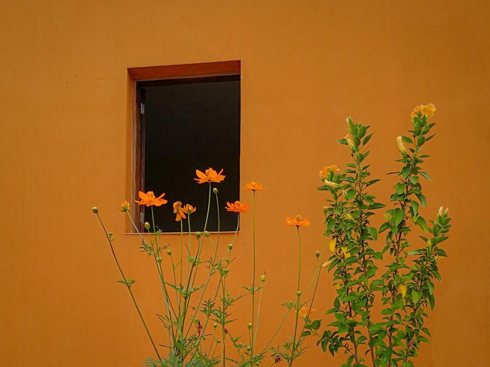 Photograph by Demetrio Jereissati