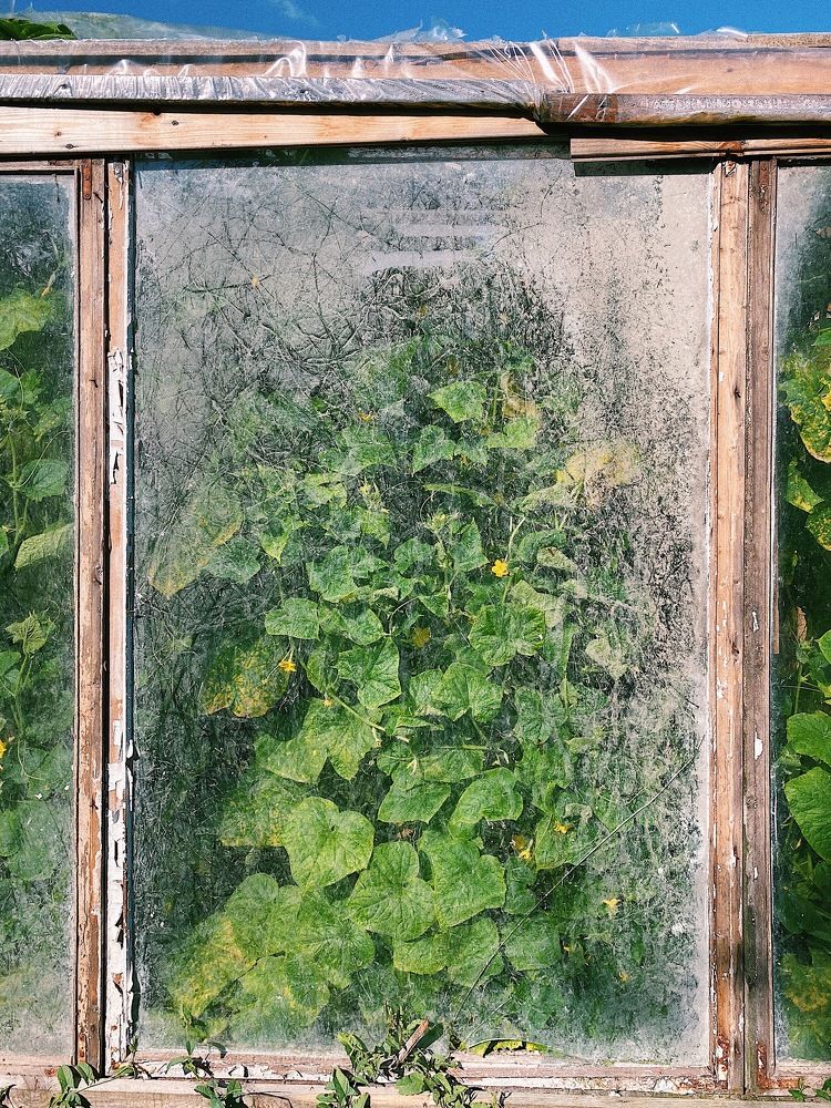 Photograph by Ольга Козлова