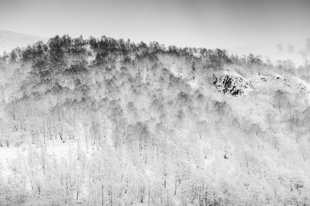 Photograph by Lionel Thenadey