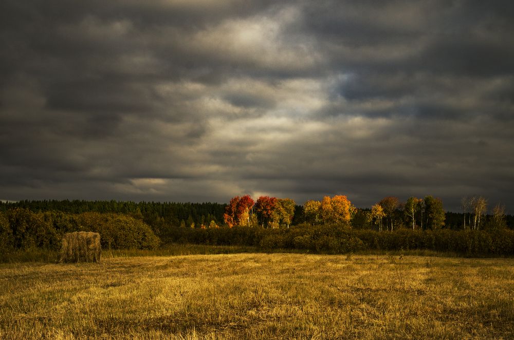 Photograph by Андрей Комарских