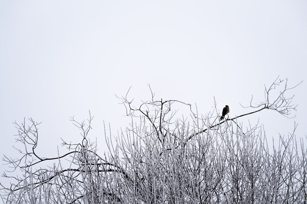 Photograph by Mariya Syrytsya