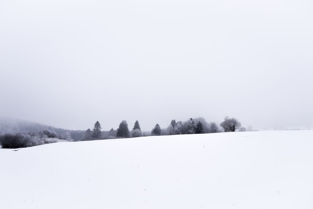 Photograph by Mariya Syrytsya