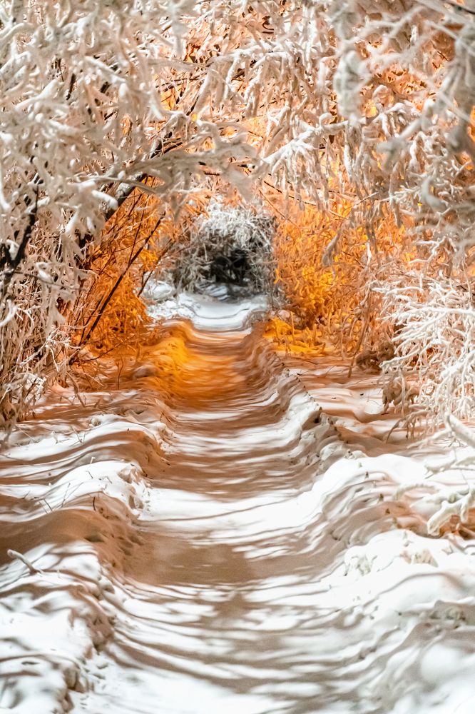 Дорога к дому (Якутия)