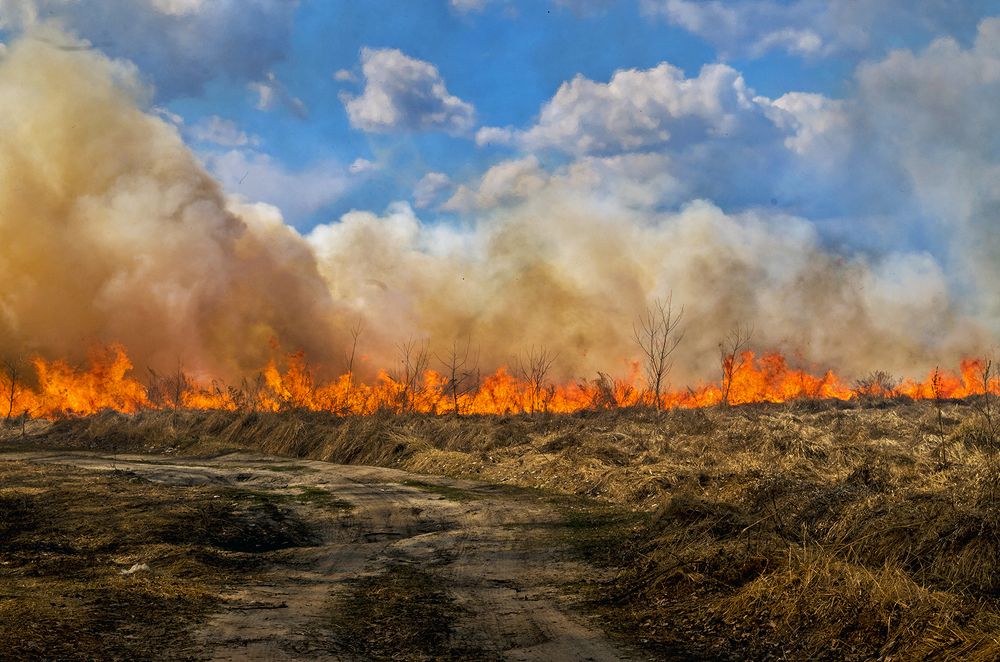 Photograph by Андрей Комарских