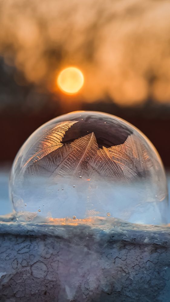 Photograph by Кристина Дугина