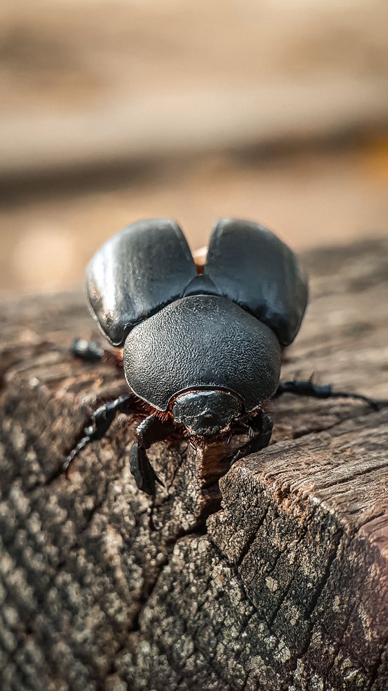 Photograph by Кристина Дугина