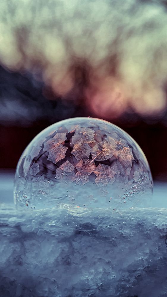 Photograph by Кристина Дугина