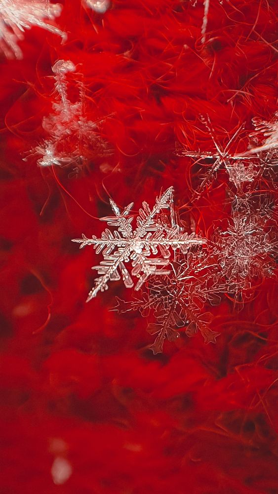 Photograph by Кристина Дугина