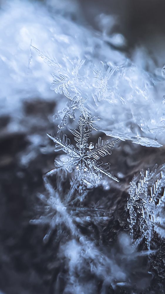 Photograph by Кристина Дугина