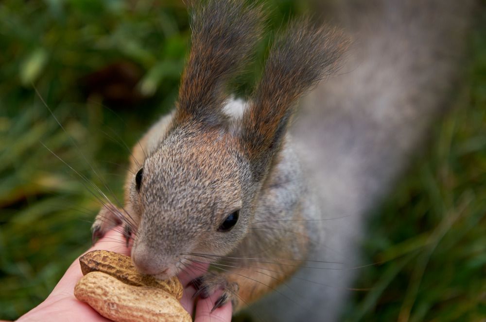 Photograph by Екатерина Володина
