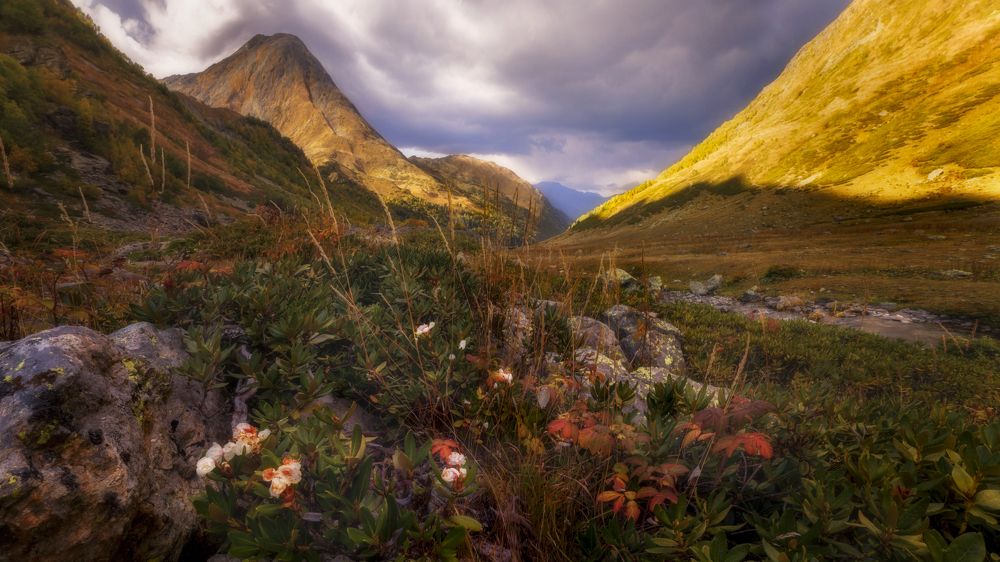 Photograph by ОЛЬГА КОВАЛЁВА