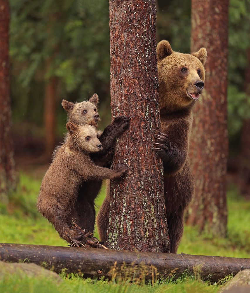 В ожидании фотографа.