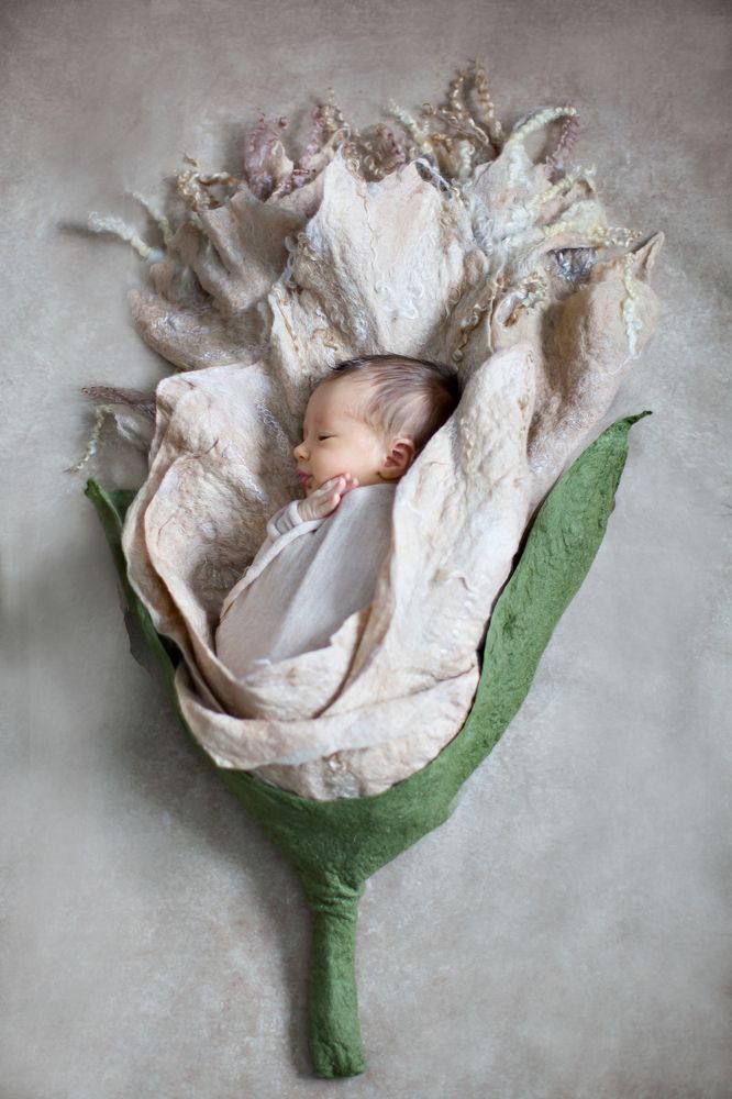 Photograph by Наталья Альбрехт