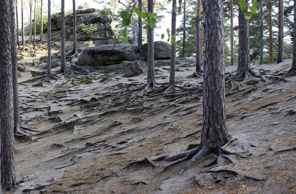 Photograph by Аля Портных