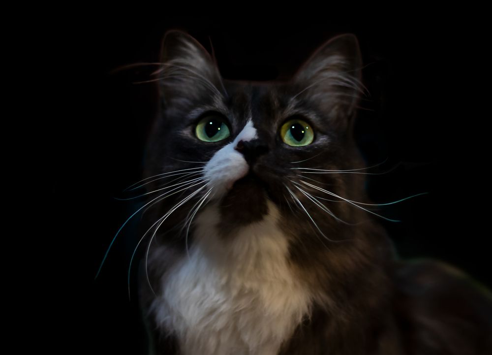 Photograph by Evgeniia Iakimenko