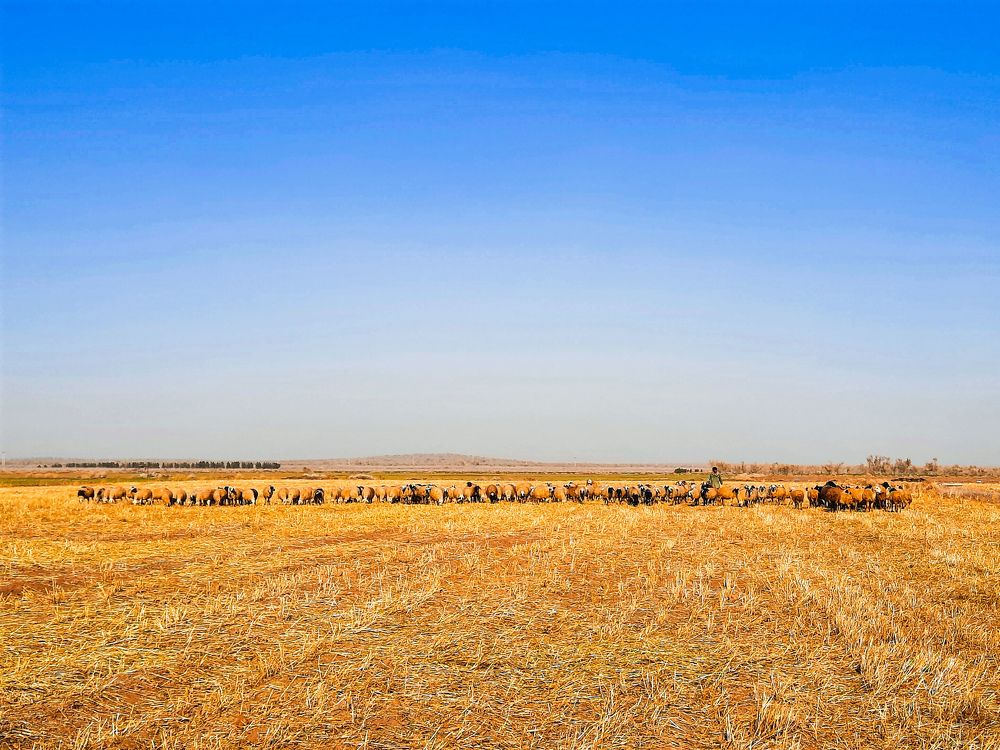 Photograph by Mozhgan Fotouhi