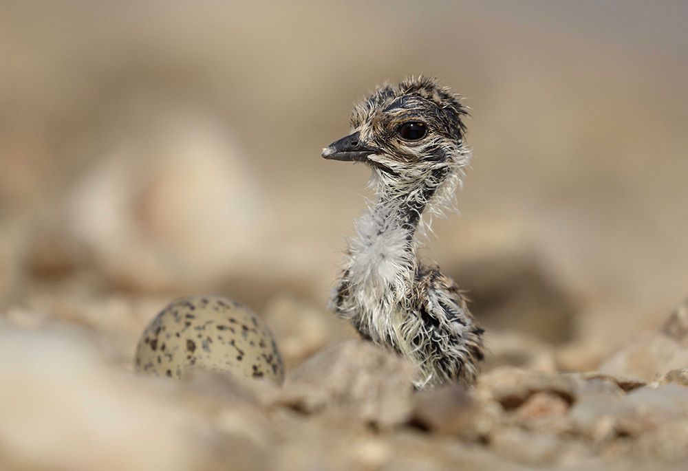 Photograph by Vinit Arora