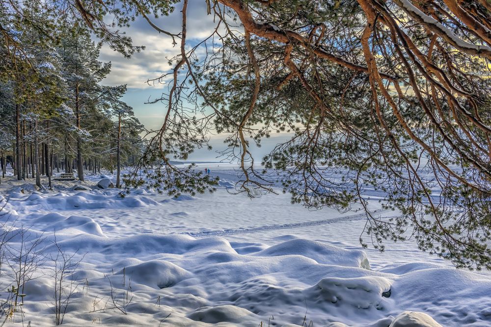 Photograph by Анна Кривицкая