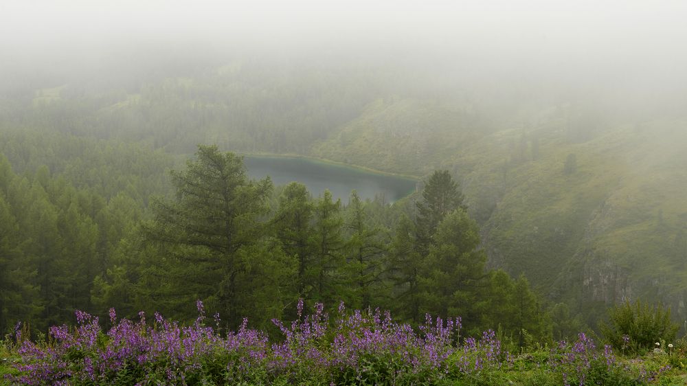 Photograph by Александр Шведов