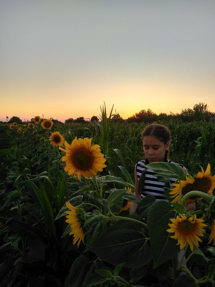 Photograph by Алексей Ролин