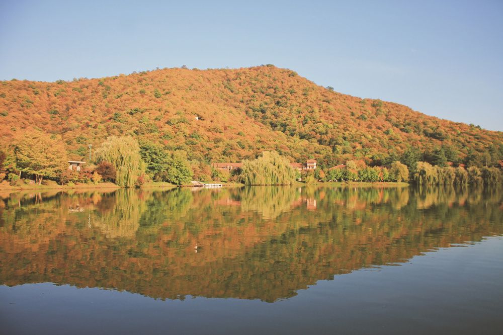 Photograph by Tinatin Gviniashvili-Chkhikvishvili
