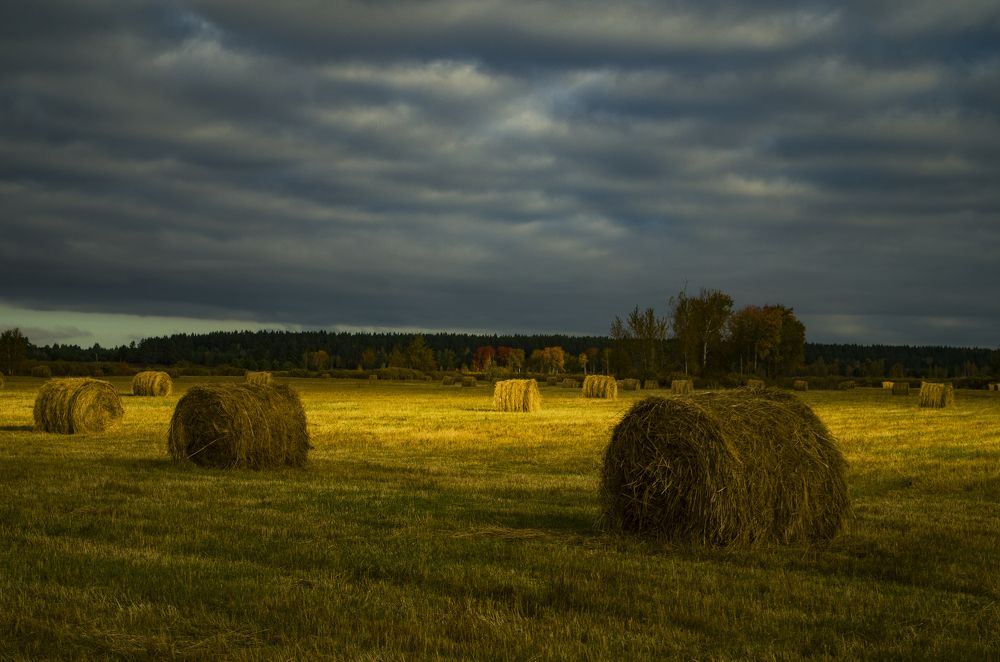 Луч солнца на поле