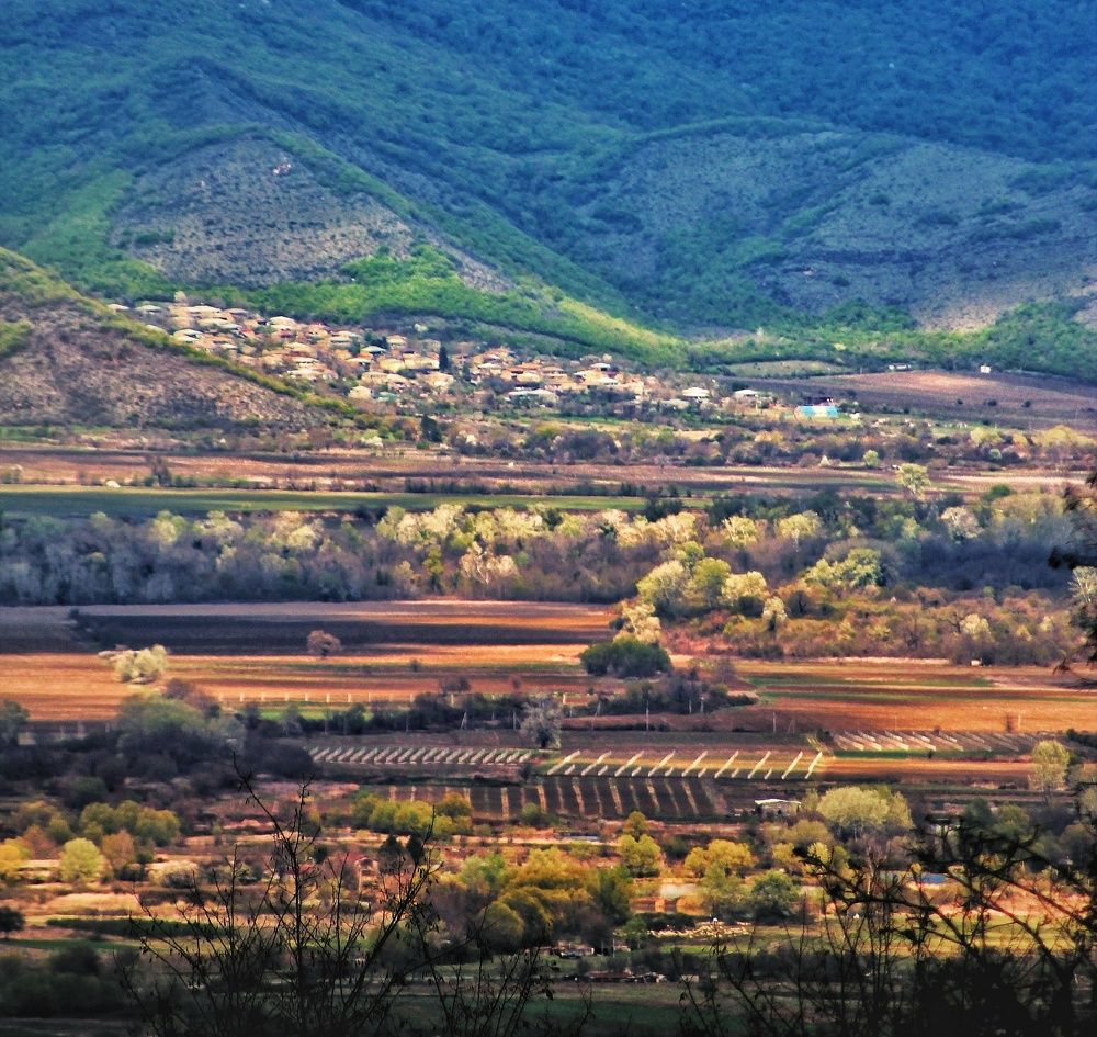 Photograph by Tinatin Gviniashvili-Chkhikvishvili